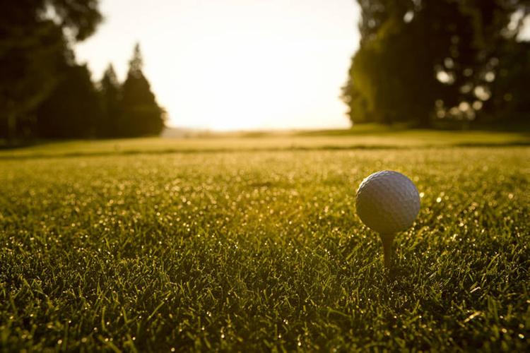 而公牛正是 而公牛正是