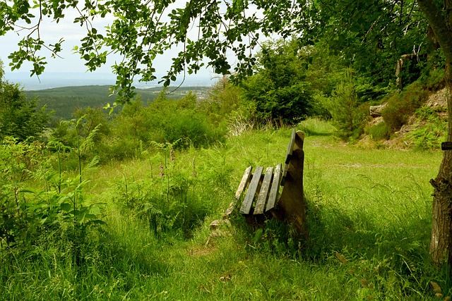 辩的证据 辩的证据